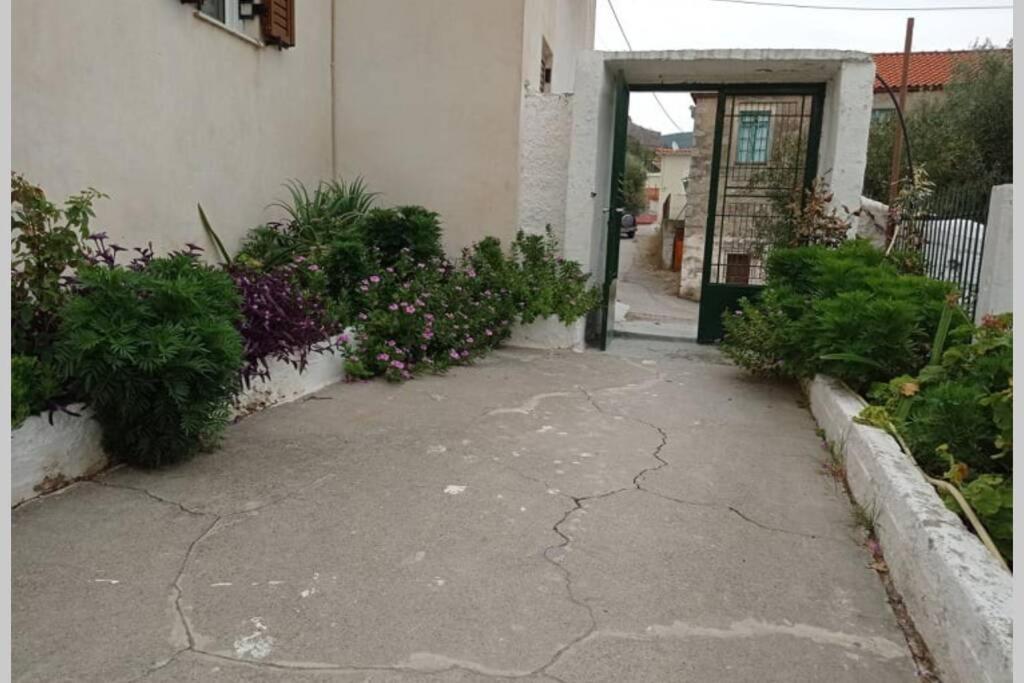 Afroditis'S & Makis'S Apartment 2 เลโอนีดีออน ภายนอก รูปภาพ